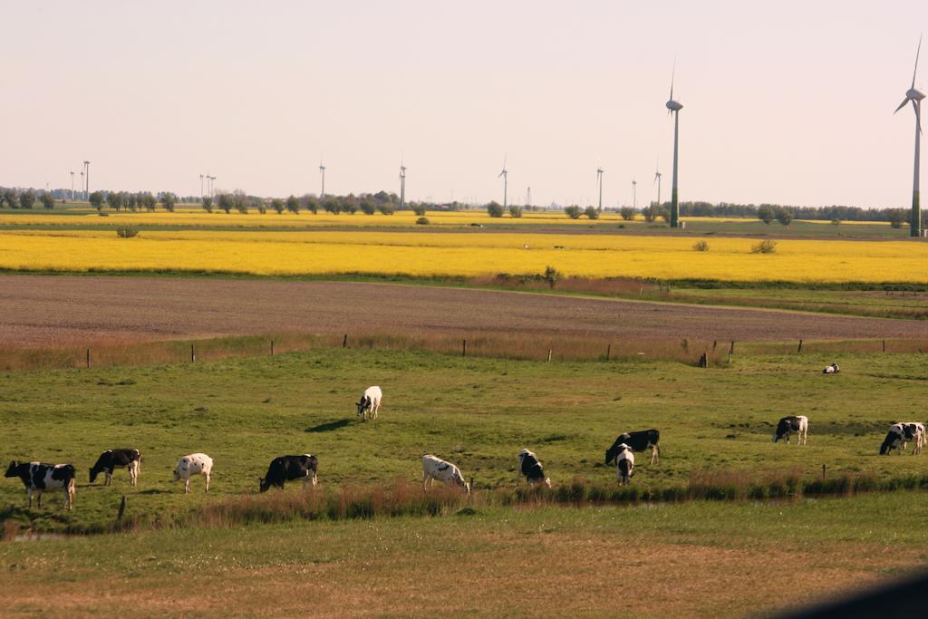 Landhaus Krabbe Von Греетзиел Екстериор снимка